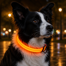 Dog Collar Nylon LED Night Safety
