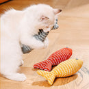 Interactive Fish Cat Toy