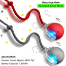 Smart Rolling Ball Pet Toy