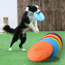 Bite-Resistant Dog Disc