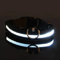 Dog Collar Nylon LED Night Safety