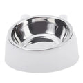 Inclined Stainless Steel Pet Bowl