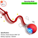 Smart Rolling Ball Pet Toy