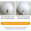 Interactive Musical & Vibrating Dog Toy