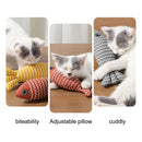 Interactive Fish Cat Toy