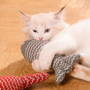 Interactive Fish Cat Toy